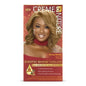CREME OF NATURE HAIR COLOR HB 10.0
