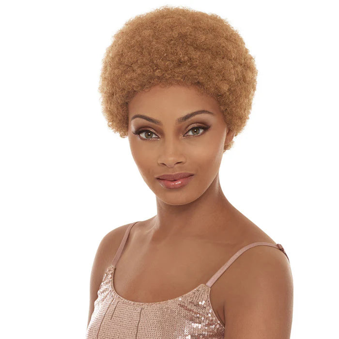 JANET AFRO ROSEY WIG