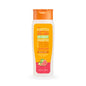 CANTU ANTI DANDRUFF SHAMPOO 13OZ